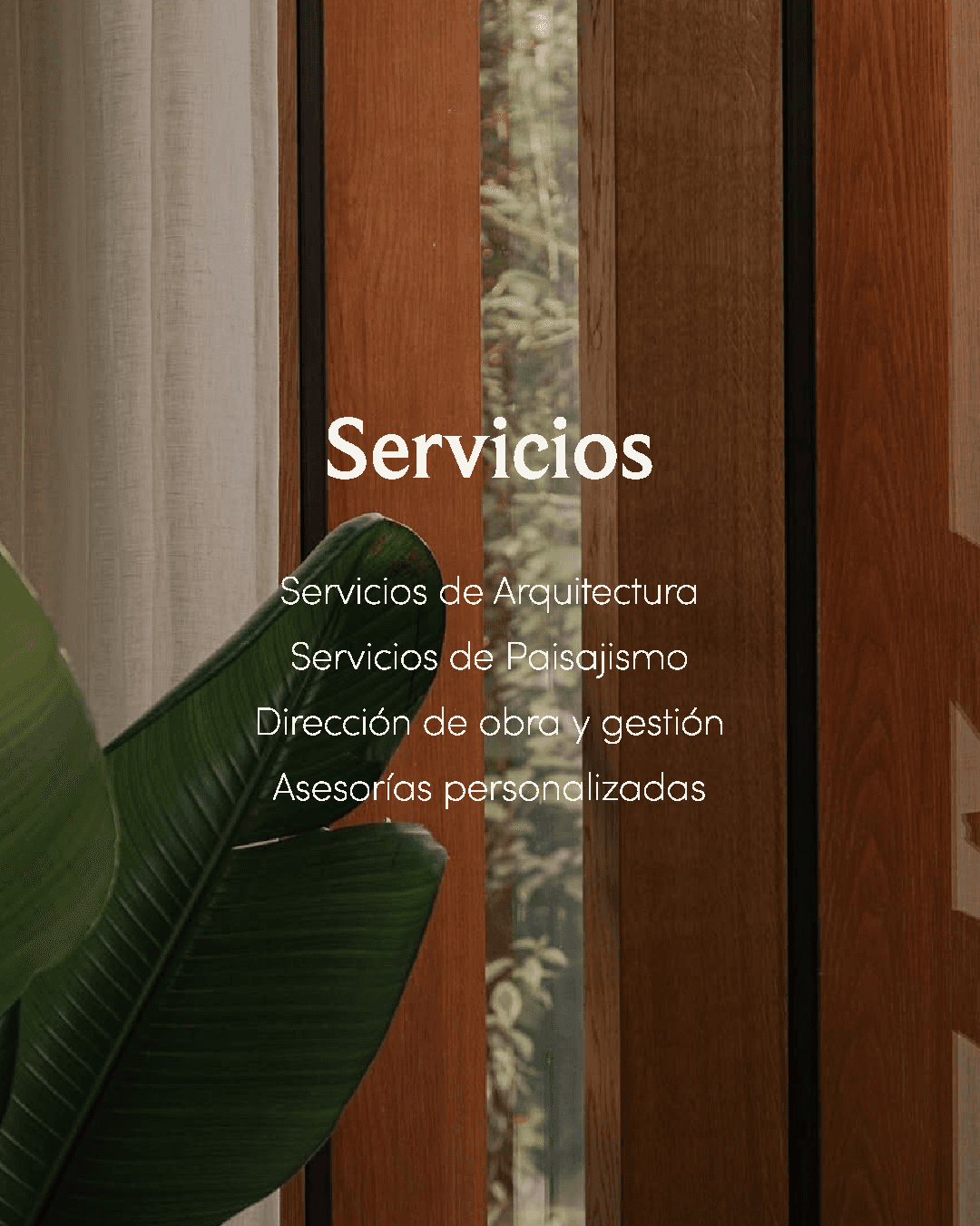 Puerta de madera con vegetación tropical en primer plano