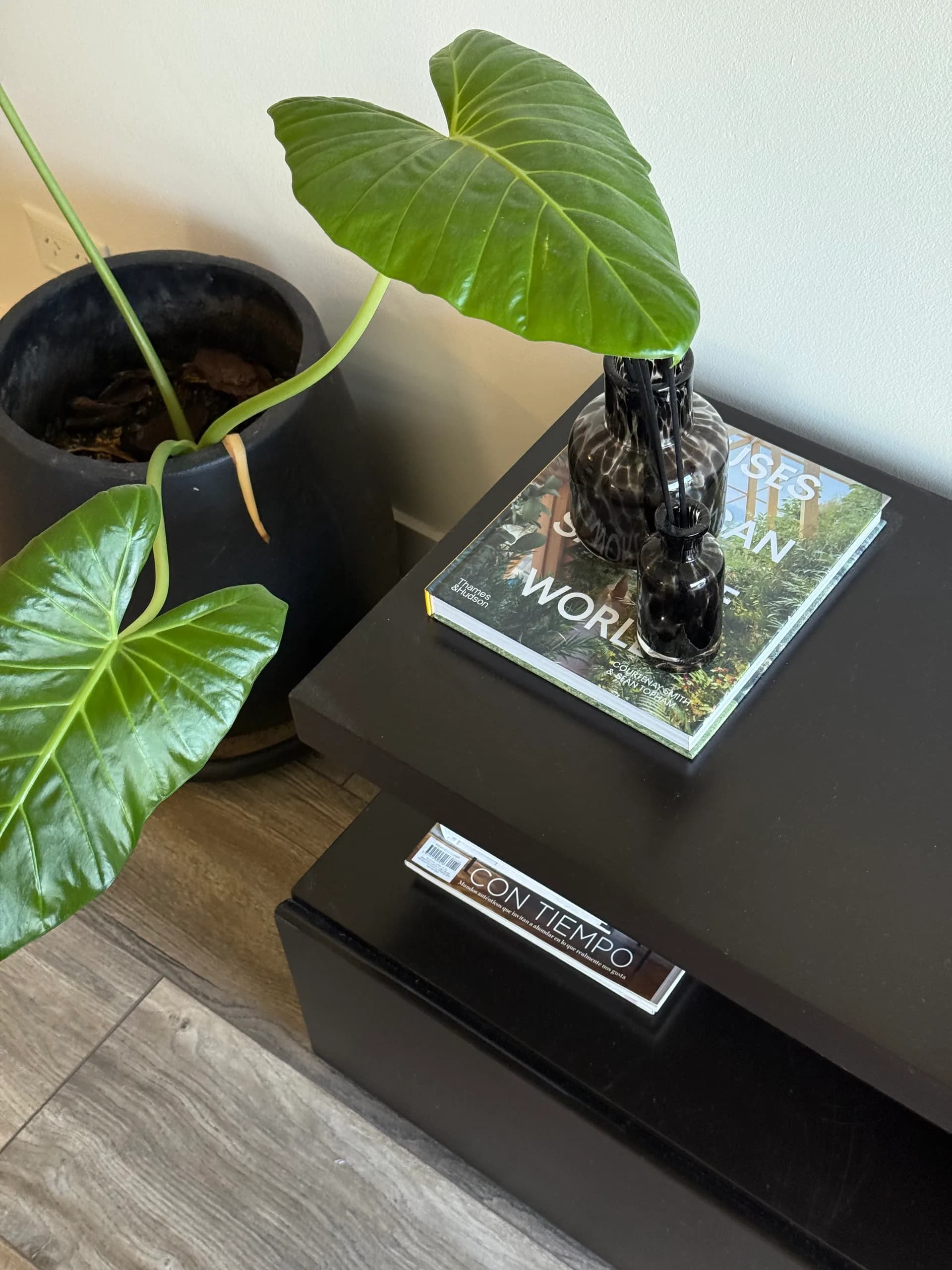 Interiorismo Olivos — detalle del proyecto